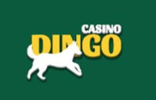 Casino Dingo